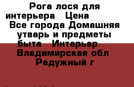 Рога лося для интерьера › Цена ­ 3 300 - Все города Домашняя утварь и предметы быта » Интерьер   . Владимирская обл.,Радужный г.